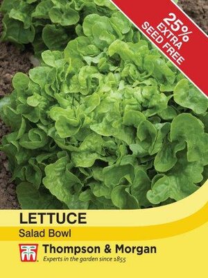 Lettuce Salad Bowl - image 1