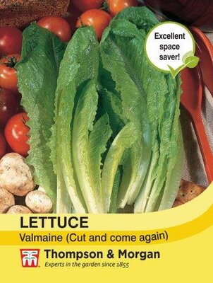 Lettuce Valmaine (Cut and Come Again) - image 1
