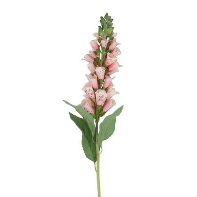 Light Pink Foxglove Stem -Image courtesy of Gisela Graham