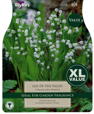Lily of the Valley - Image courtesy of Taylors Bulbs