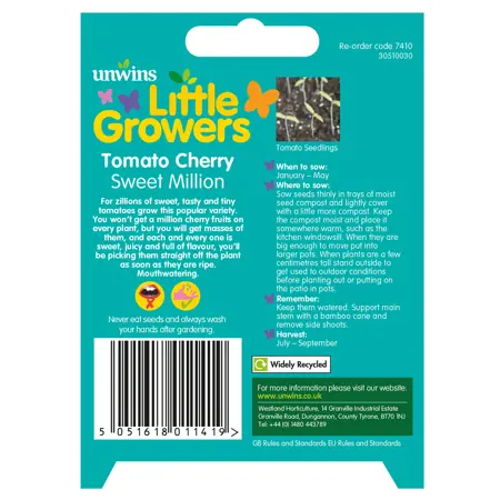 Little Growers Tomato Cherry Sweet Million (6) - image 2
