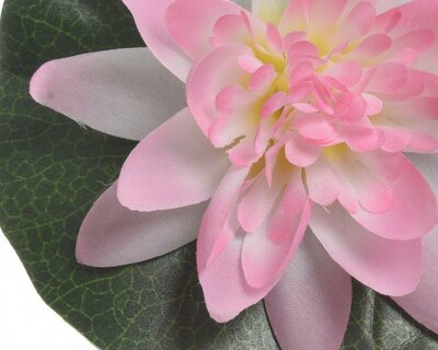 Lotus polyester - image 2