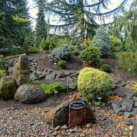 Low Maintenance Collection