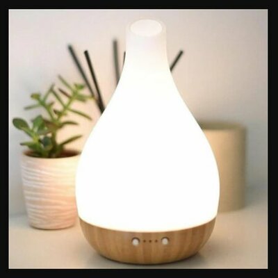 Luxury Essential Oil Glass Diffuser - Image courtesy of deDanu