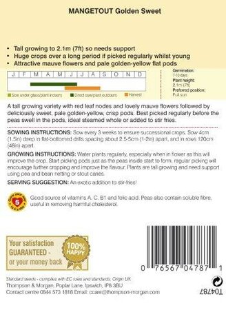 Mangetout Golden Sweet - image 2