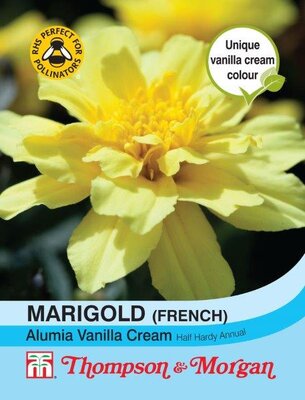 Marigold Alumia Vanilla Cream - Image courtesy of T&M
