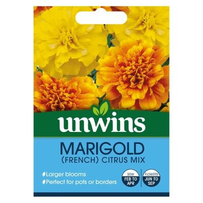 Marigold French Citrus Mix - Image courtesy of Unwins