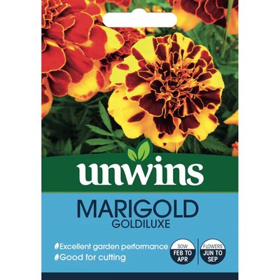 Marigold Goldiluxe (75) - image 1