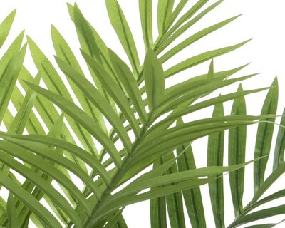 Palm-tree in Pot -Image courtesy of Kaemingk