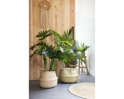 Palm-tree in Pot -Image courtesy of Kaemingk