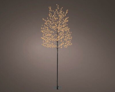 Image courtesy of Kaemingk