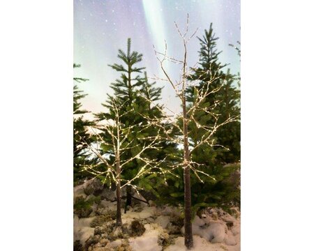 Image courtesy of Kaemingk