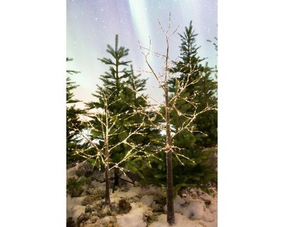 Image courtesy of Kaemingk