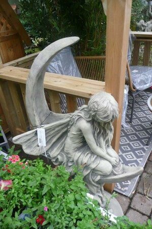 Moon Fairy 'Lunaria' -Photo taken at Ardcarne Garden Centre 27/06