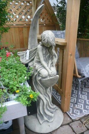 Moon Fairy 'Lunaria' -Photo taken at Ardcarne Garden Centre 27/06