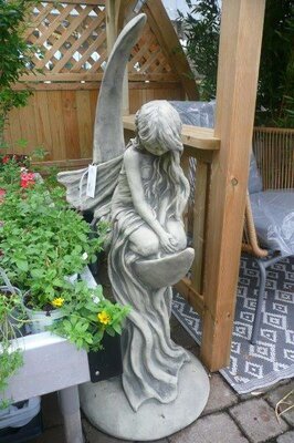 Moon Fairy 'Lunaria' -Photo taken at Ardcarne Garden Centre 27/06