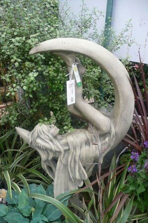 Moon Fairy 'Manadis' -Photo taken at Ardcarne Garden Centre 27/06