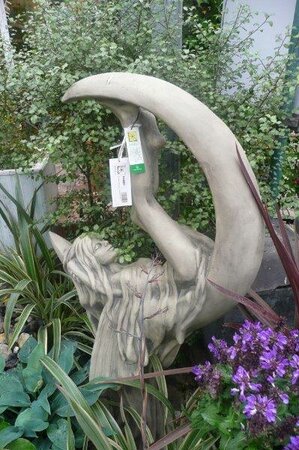 Moon Fairy 'Manadis' -Photo taken at Ardcarne Garden Centre 27/06