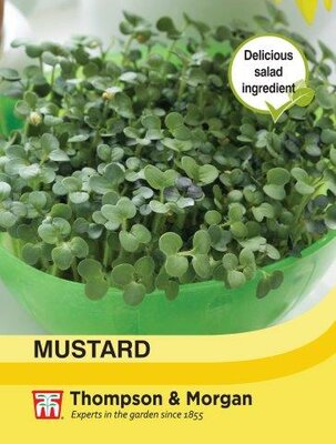 Mustard - image 1