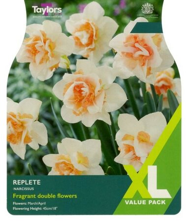 Narcissus Replete XL - Image courtesy of Taylor's Bulbs