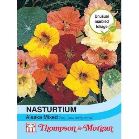 Nasturtium Alaska Mixed - Image courtesy of T&M