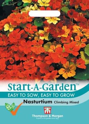 Nasturtium Climbing Mixed - image 1