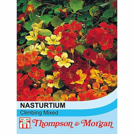 Nasturtium Climbing Mixed - Image courtesy of T&M