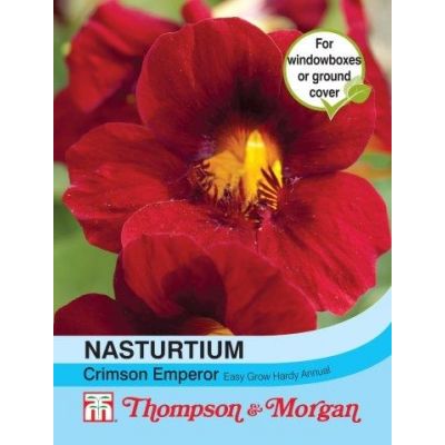 Nasturtium Crimson Emperor - Image courtesy of T&M
