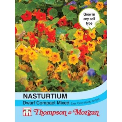 Nasturtium Dwarf Compact Mixed - Image courtesy of T&M