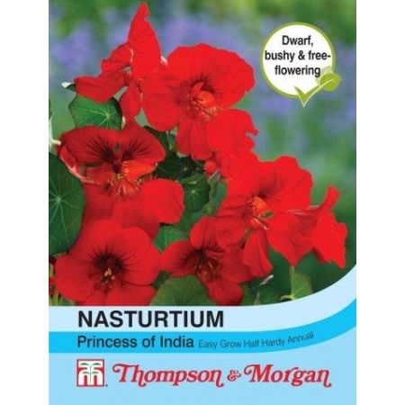 Nasturtium Princess of India - Image courtesy of T&M