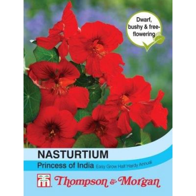 Nasturtium Princess of India - Image courtesy of T&M