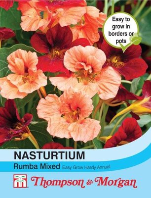 Nasturtium Rumba Mixed - Image courtesy of T&M
