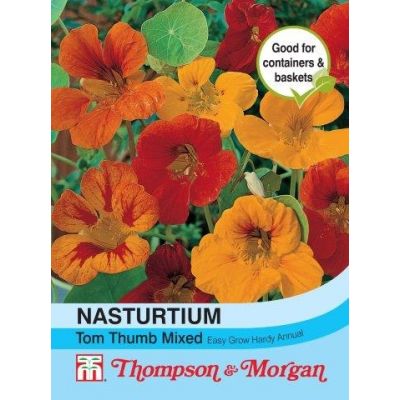 Nasturtium Tom Thumb Mixed - Image courtesy of T&M