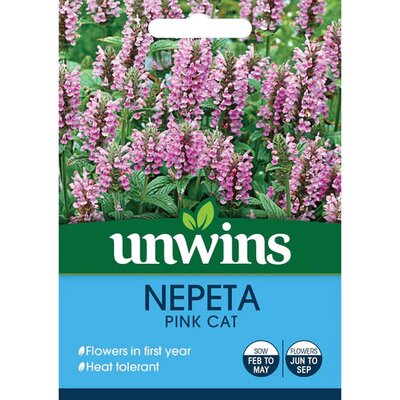 Nepeta Pink Cat (20) - image 1