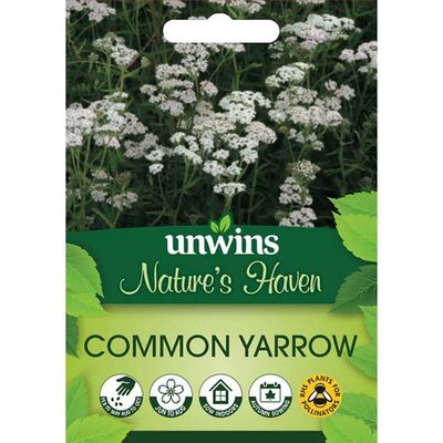 NH Common Yarrow (500) - image 1