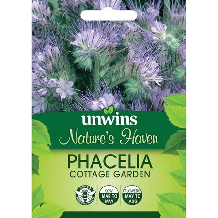 NH Phacelia Cottage Garden (580) - image 1