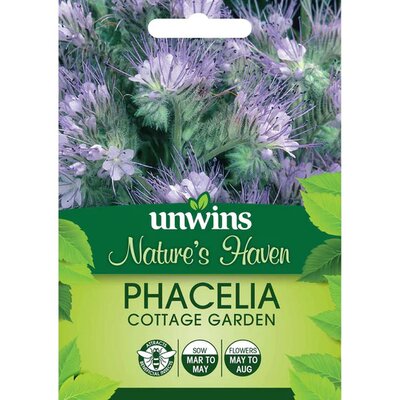 NH Phacelia Cottage Garden (580) - image 1