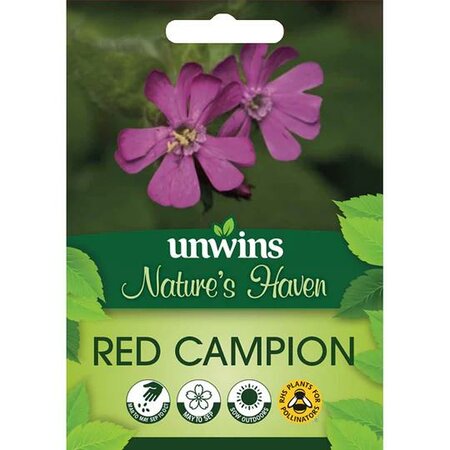 NH Red Campion (200) - image 1