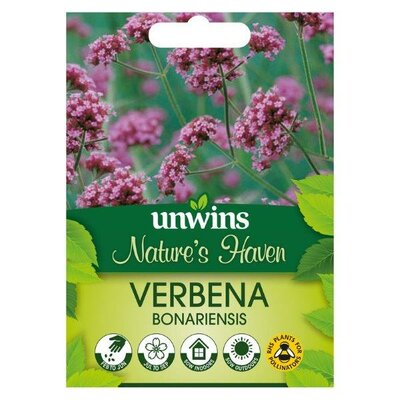 NH Verbena Bonariensis (350)