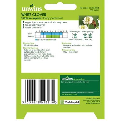 NH White Clover (1000) - image 2