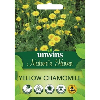 NH Yellow Chamomile (800) - image 2