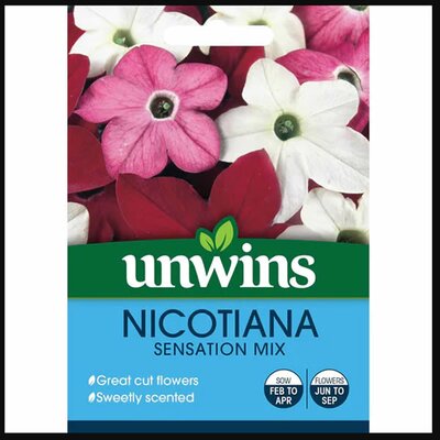 Nicotiana Sensation Mix - image 1