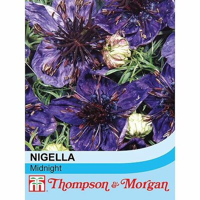 Nigella Midnight  - Image courtesy of T&M