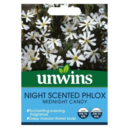 Night Phlox Midnight Candy - Image courtesy of Unwins