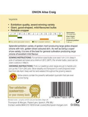 Onion Ailsa Craig - image 2