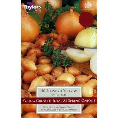 Onion: Senshyu Yellow (50)