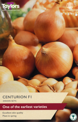 Onion Sets 'Centurion F1' - Image courtesy of Taylors Bulbs
