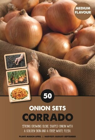 Onion Sets 'Corrado' - Image courtesy of Kapiteyn