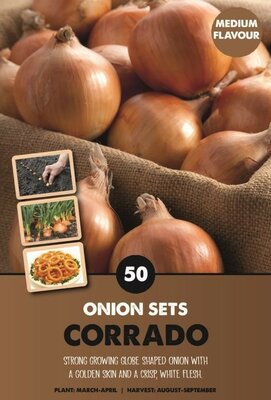 Onion Sets 'Corrado' - Image courtesy of Kapiteyn