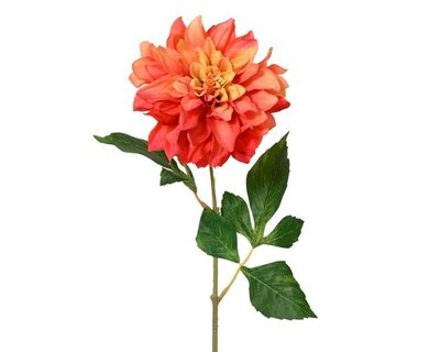 Orange Dahlia  on stem -Image courtesy of Kaemingk